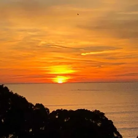 Apartamento Quinta Barracuda *